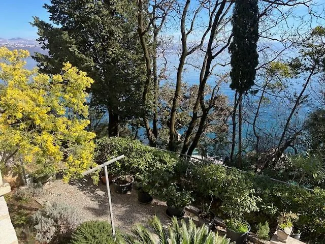 Apartman Design Villa Camellia Croatia